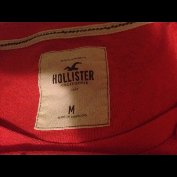 Hollister T - Picture 3 of 3